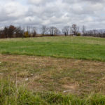 Regenerative farming is gaining ground as a climate-smart solution that goes beyond sustainability.