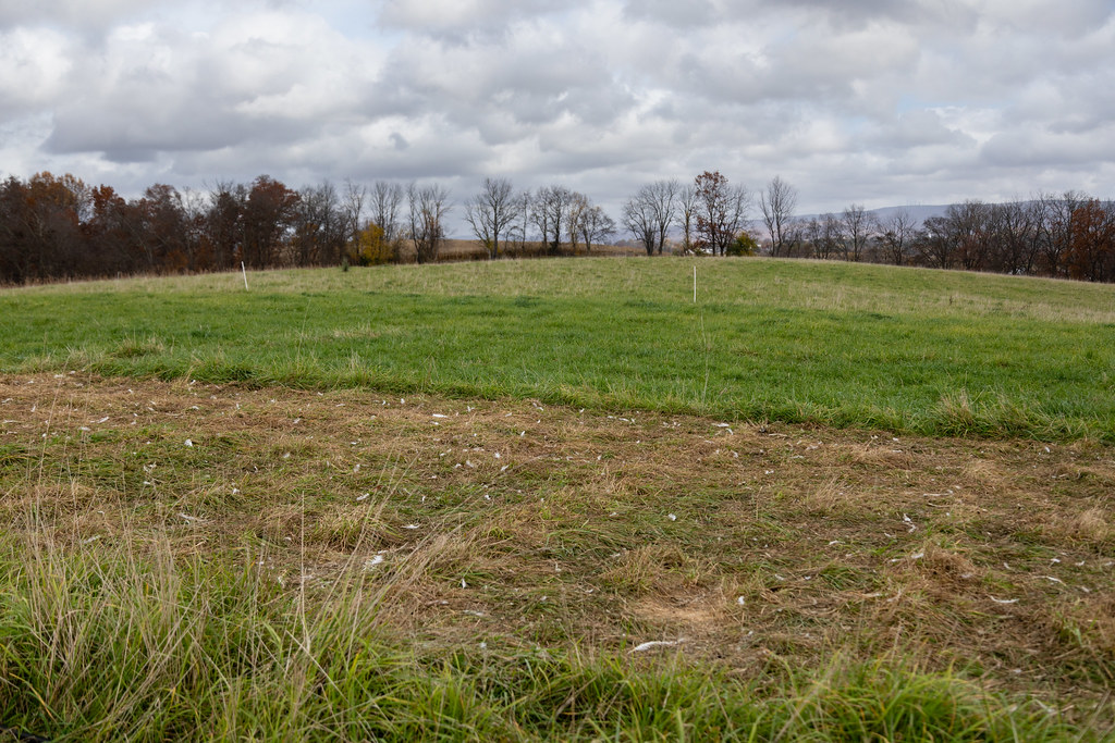 Regenerative farming is gaining ground as a climate-smart solution that goes beyond sustainability.