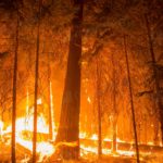 B.C.'s outdated forestry rules and poor coordination with communities raise wildfire risks, a new report finds.