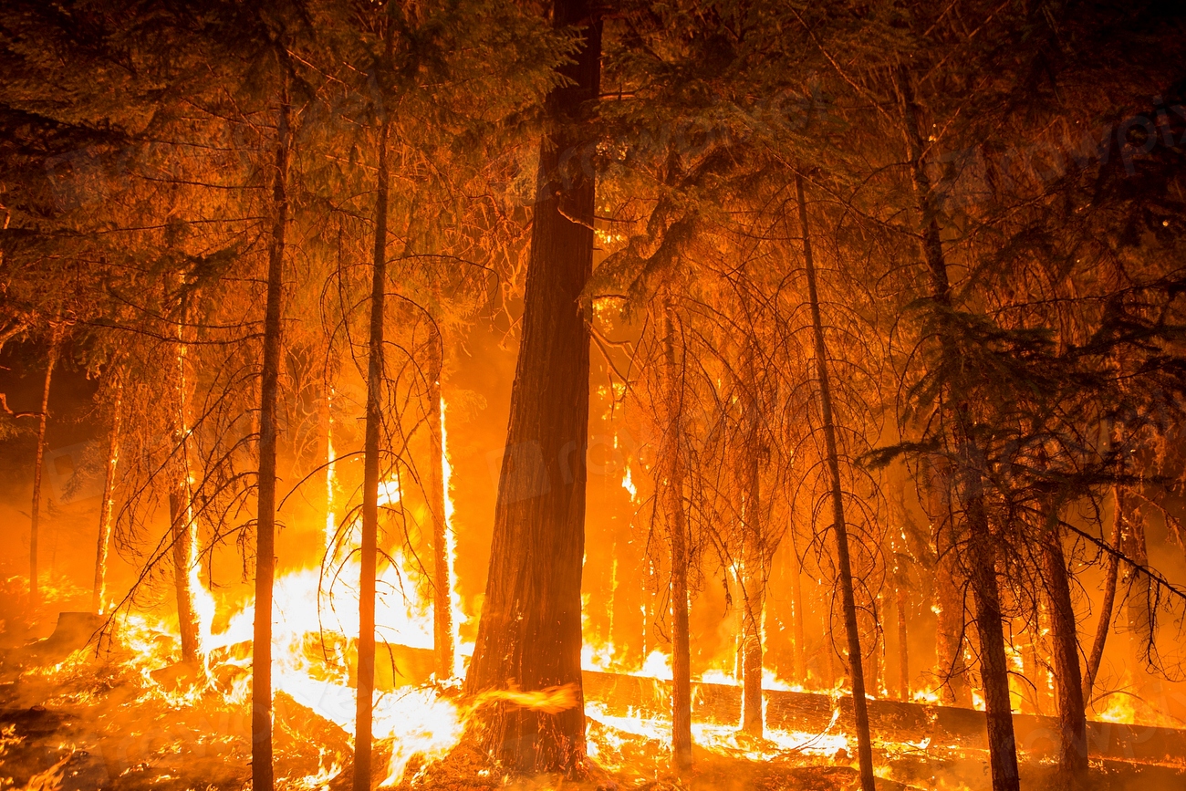B.C.'s outdated forestry rules and poor coordination with communities raise wildfire risks, a new report finds.
