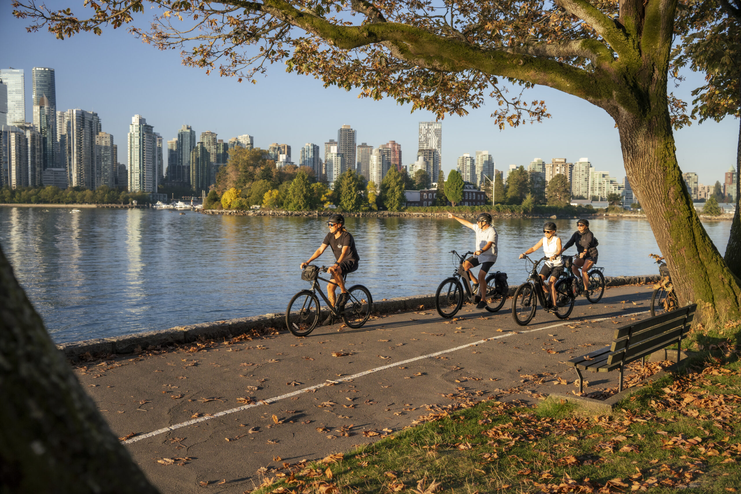 Stanley Park’s Free Outdoor Movies: 2025 Lineup Revealed