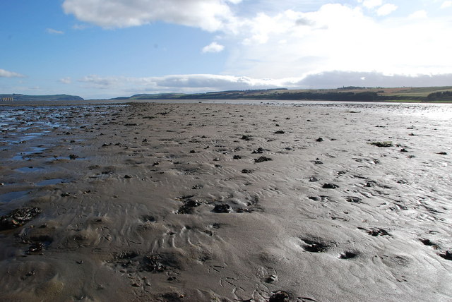 Volunteers Strengthen Surrey’s Climate-Resilient Living Dike