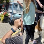 White Rock Dogs Calendar Return to Honour Beloved Founder