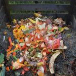 Home Composting 101: Turn Kitchen Scraps into Garden Gold