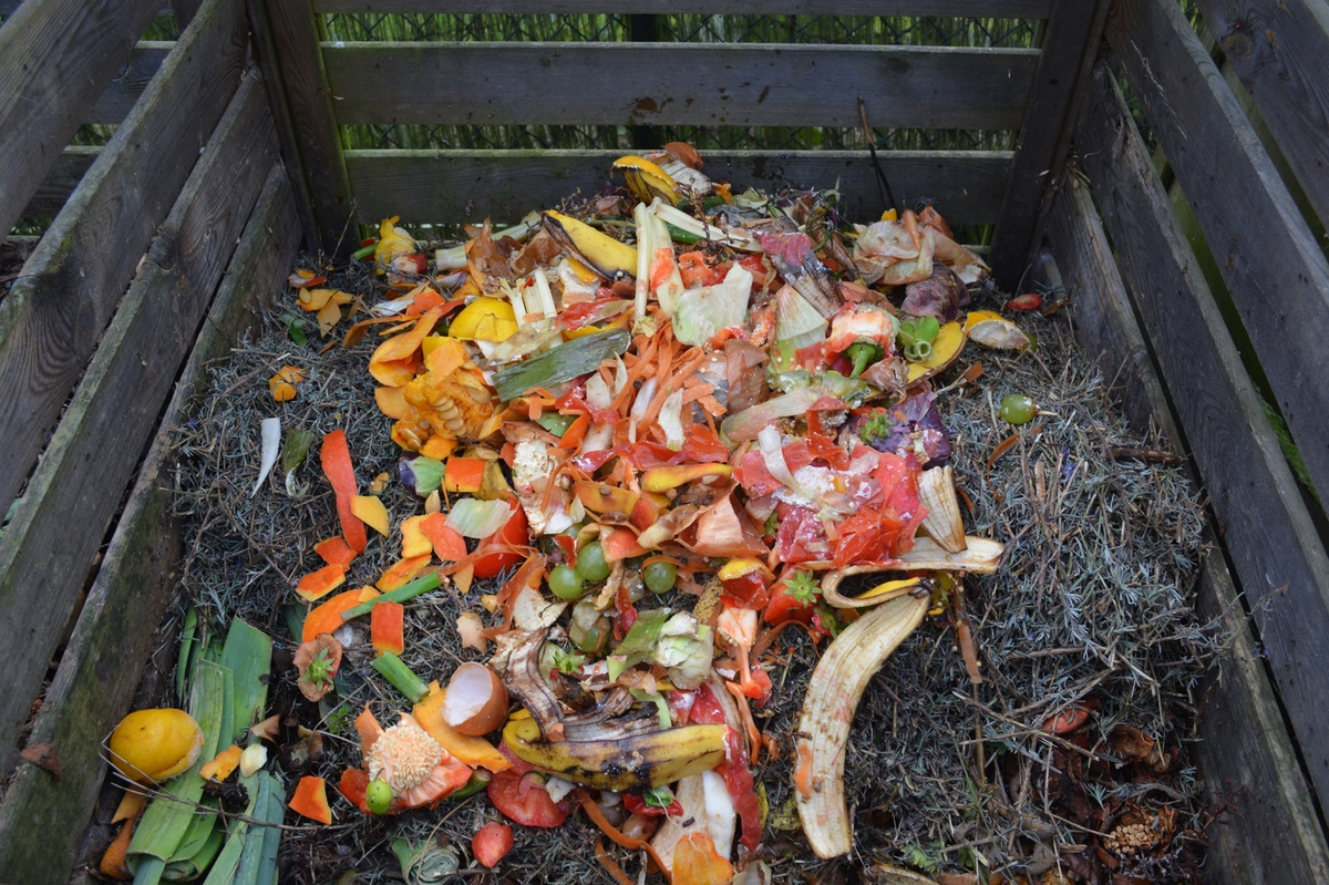 Home Composting 101: Turn Kitchen Scraps into Garden Gold