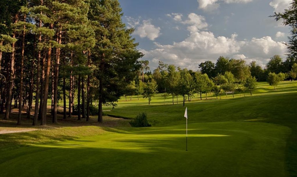 Surrey’s Backyard Golf Opens: Fun Greens for All