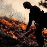 Guildford Field Fire Sends Smoke Across Town Centre
