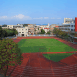 Surrey Schools Urgently Seek Playground Funding