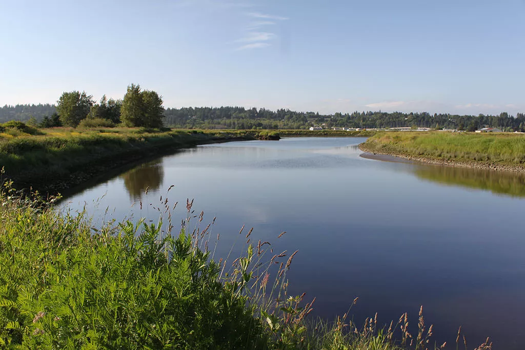 The Serpentine River