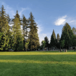Surrey Upgrades Sunnyside Park with New Ball Diamonds