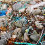 Volunteers Remove 200 lbs of Litter from White Rock Shoreline