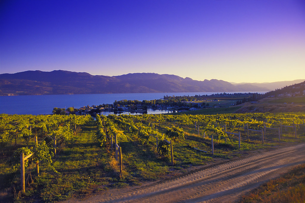 Okanagan Tourism Faces Spending Slowdown Despite Kelowna Visitors