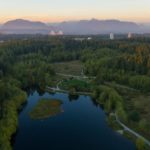 Nature Escapes in Surrey: Where the City Meets the Wild