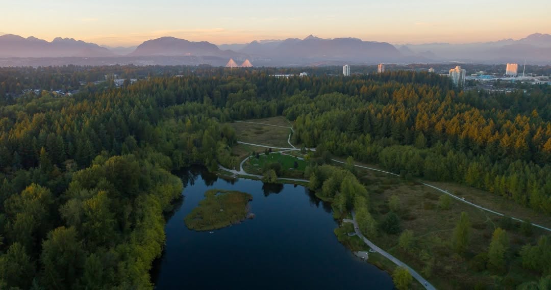 Nature Escapes in Surrey: Where the City Meets the Wild