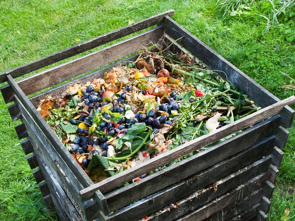 How to Start Composting at Home in 3 Easy Steps