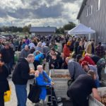 Ugly Potato Day Set to Feed Thousands in Cloverdale