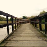 Local nature reserves