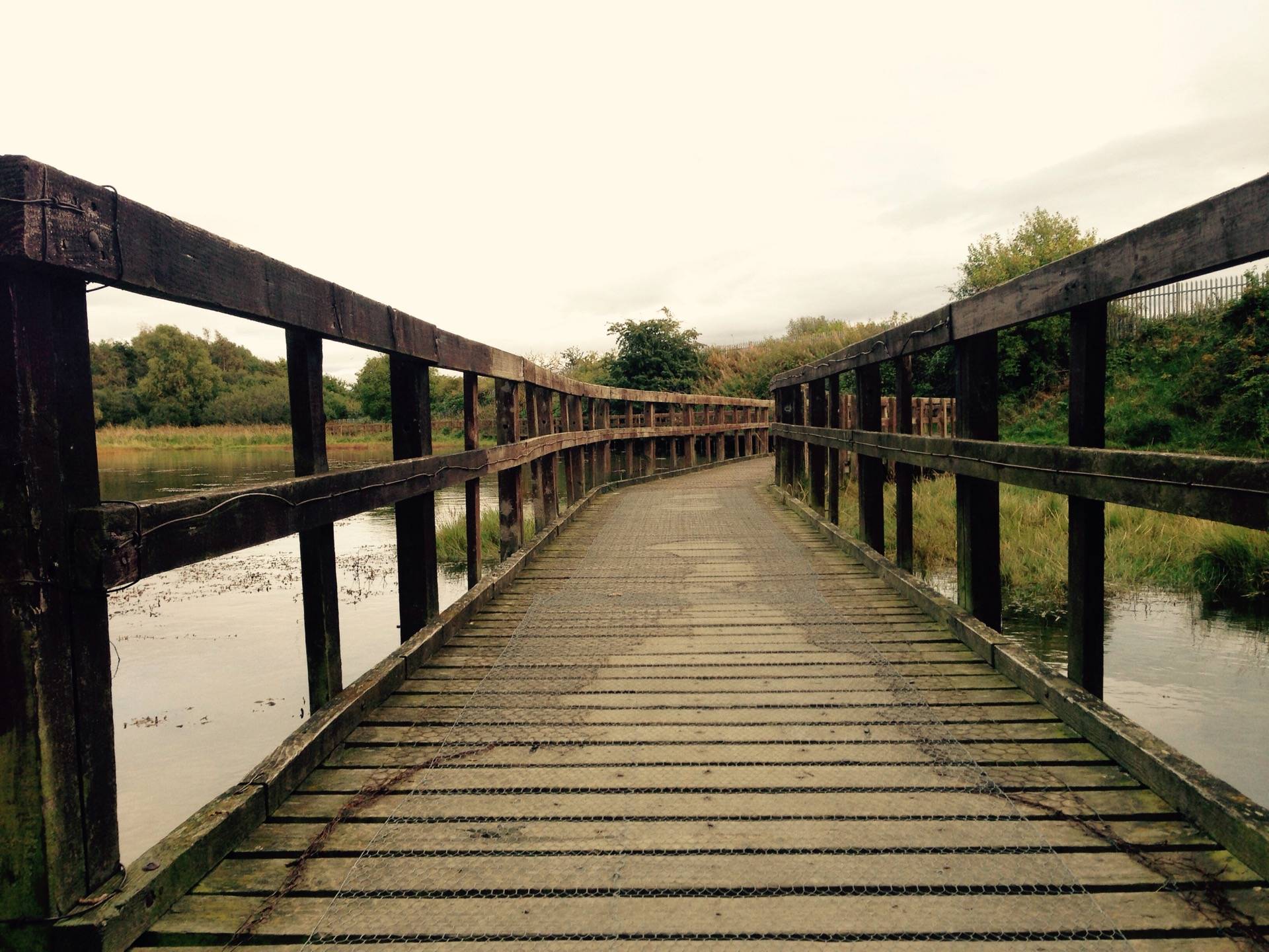 Local nature reserves