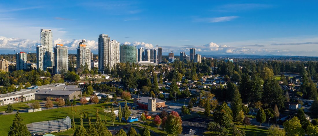 Surrey city