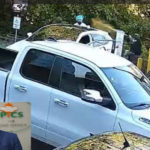 Surrey news PICS Bear spray attack president attacked Surrey crime news