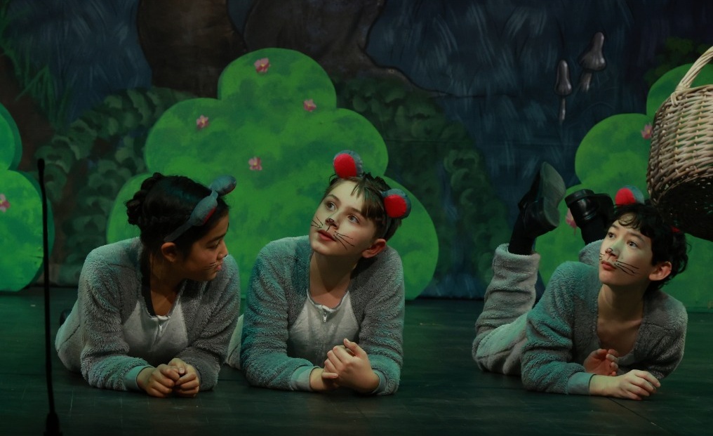 Royal Canadian Theatre’s 2025-26 Season Awakens Laughter & Heart