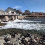 Salmon Passage Restores Habitat Access in Okanagan Lake