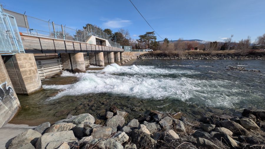 Salmon Passage Restores Habitat Access in Okanagan Lake