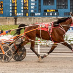 Fraser Downs Closure Sparks Urgent Calls for Government Action