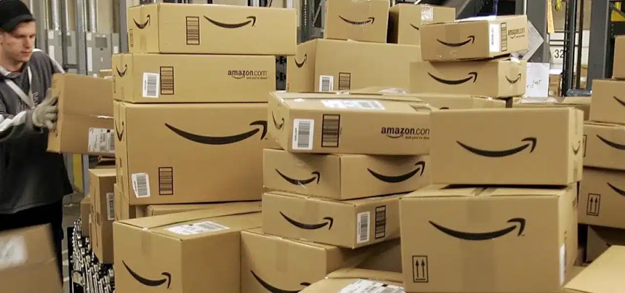 Amazon, At What Cost? The Environmental Toll of One-Day Delivery
