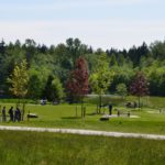 Green Timbers Urban Forest