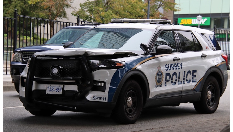 Surrey Crime Report 2025: Risks & Safer Areas