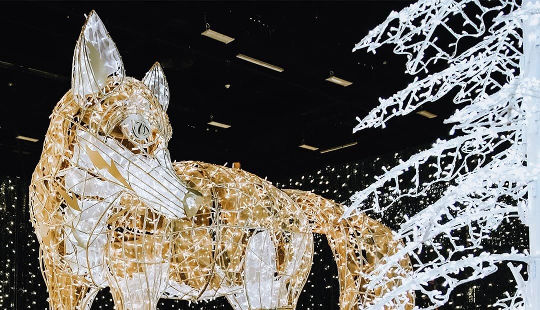 Bright Nights Holiday Display Returns to Surrey Roots