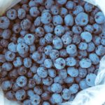 Abbotsford blueberries now served in B.C. hospitals