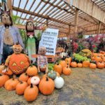 Art’s Scarecrow Stroll to charge entry on weekends, holidays