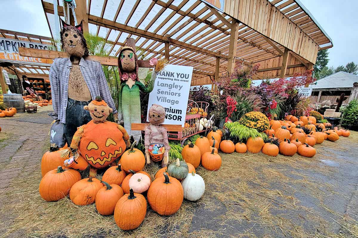 Art’s Scarecrow Stroll to charge entry on weekends, holidays