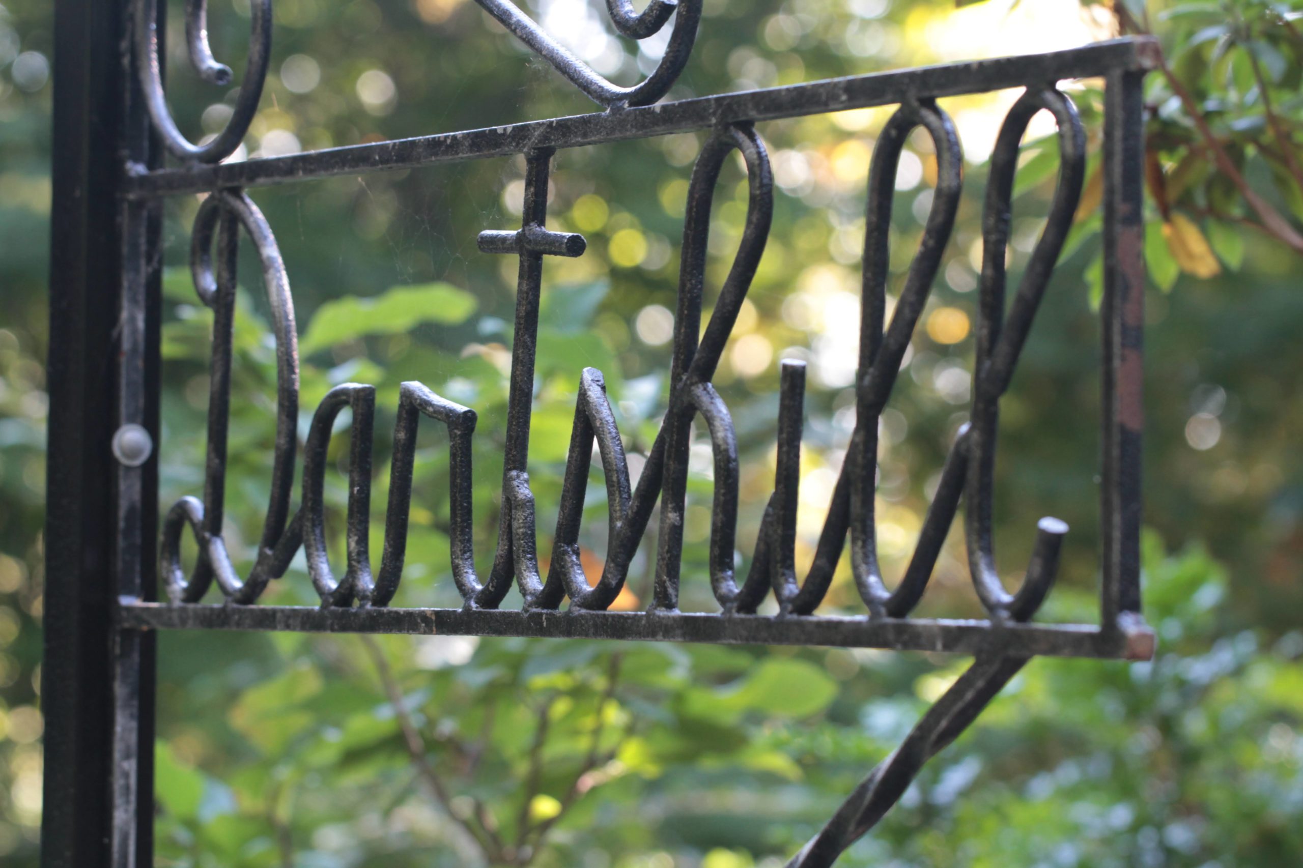 Scarecrow Stroll Brings Autumn Magic to Darts Hill Garden