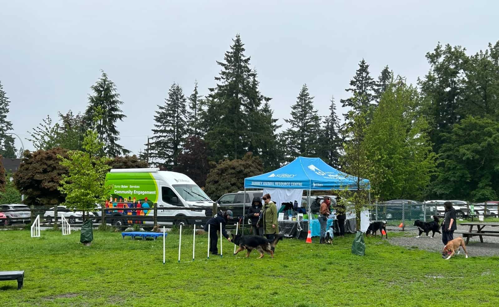 Surrey Welcomes Fall with Concerts, Fairs, and Paw Play