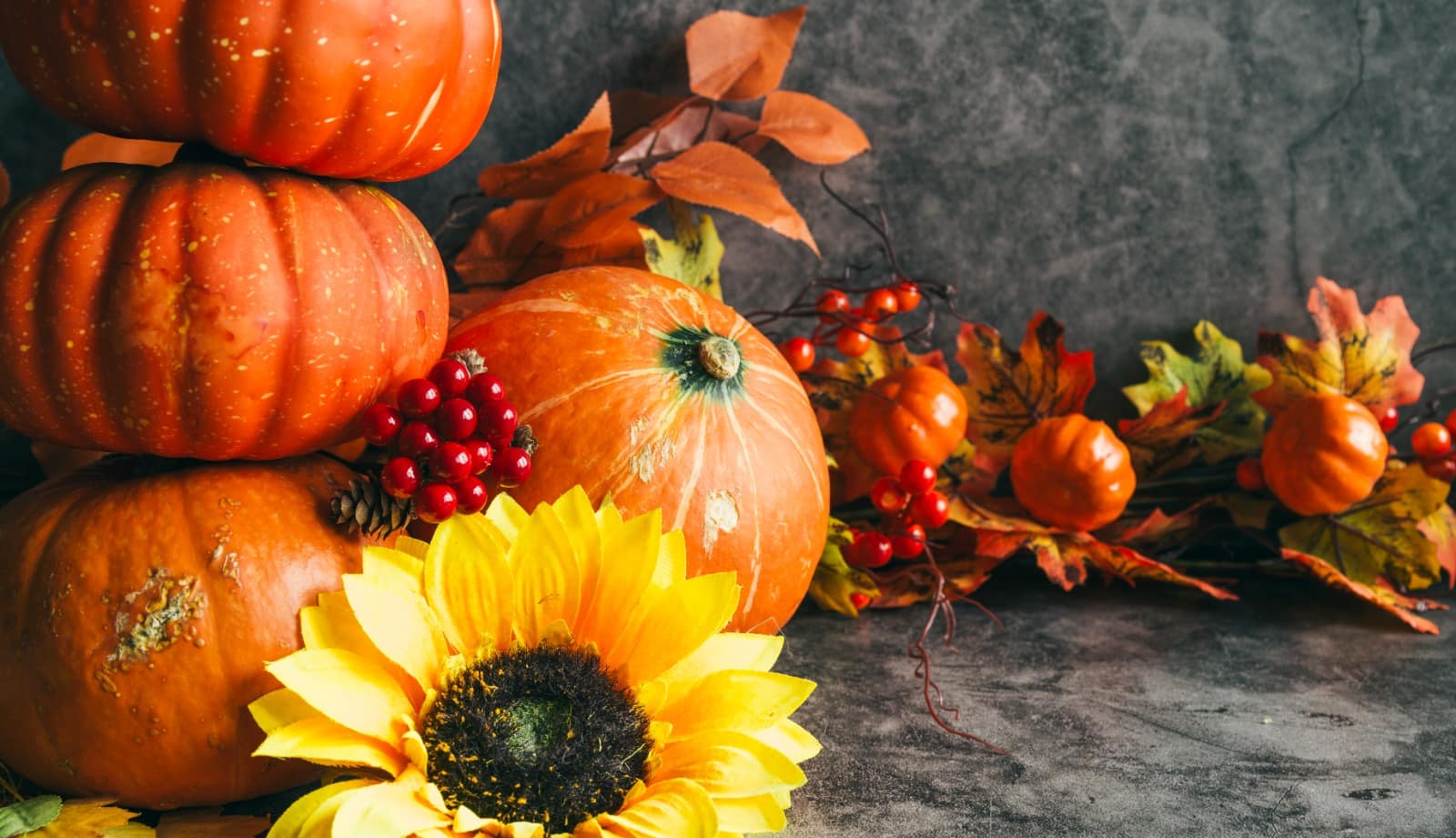 Autumn Flavors in Surrey: Pumpkins & Cranberries