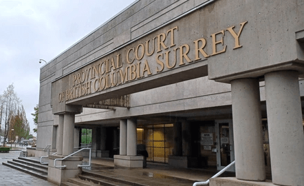 Surrey sex offender sentenced to house arrest