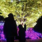 People and lit trees at Bear Creek Lights