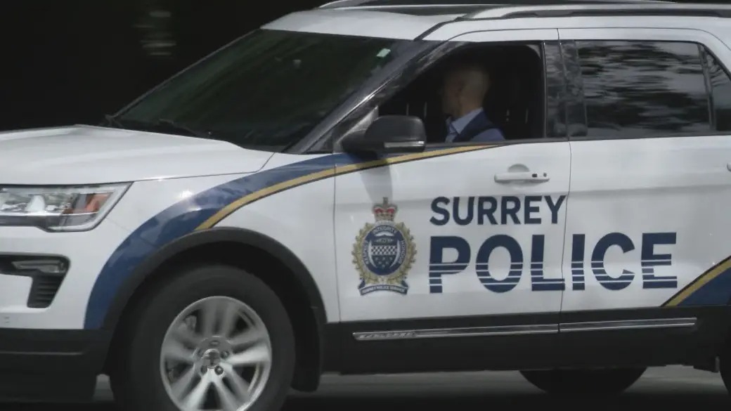 Surrey man charged with sexual assault and theft
