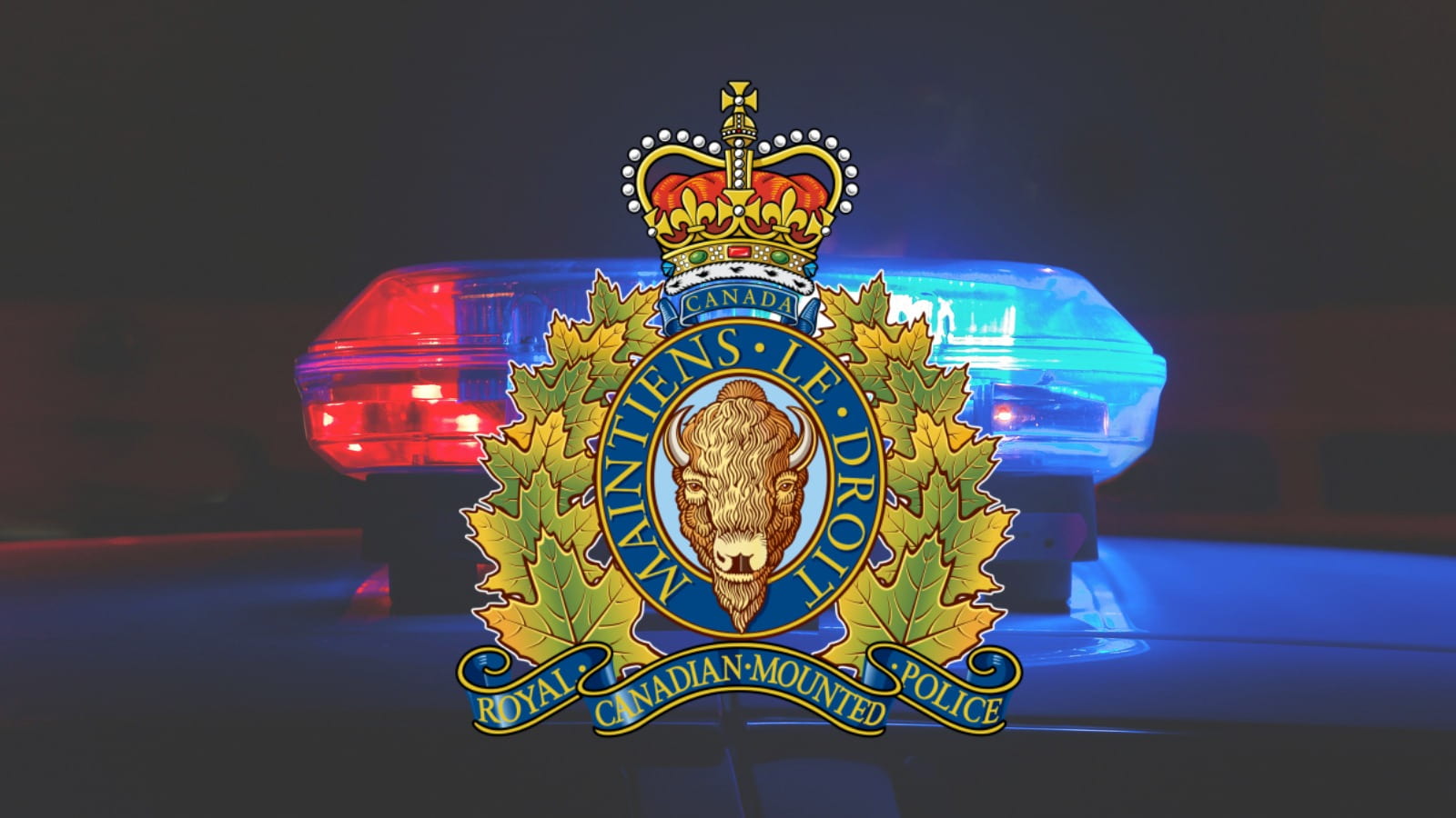 Pedestrian Fatally Struck in Aldergrove Morning Collision