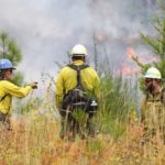 Wildfire & Forestry Workers Join Expanding BCGEU Strike
