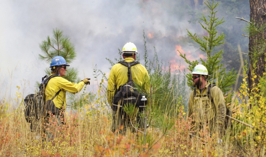 Wildfire & Forestry Workers Join Expanding BCGEU Strike