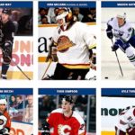 some of the former NHL players