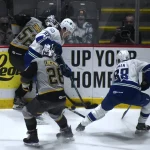 Vitali Kravtsov and Nils Aman