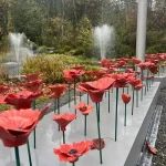 Titled Garden of Poppies