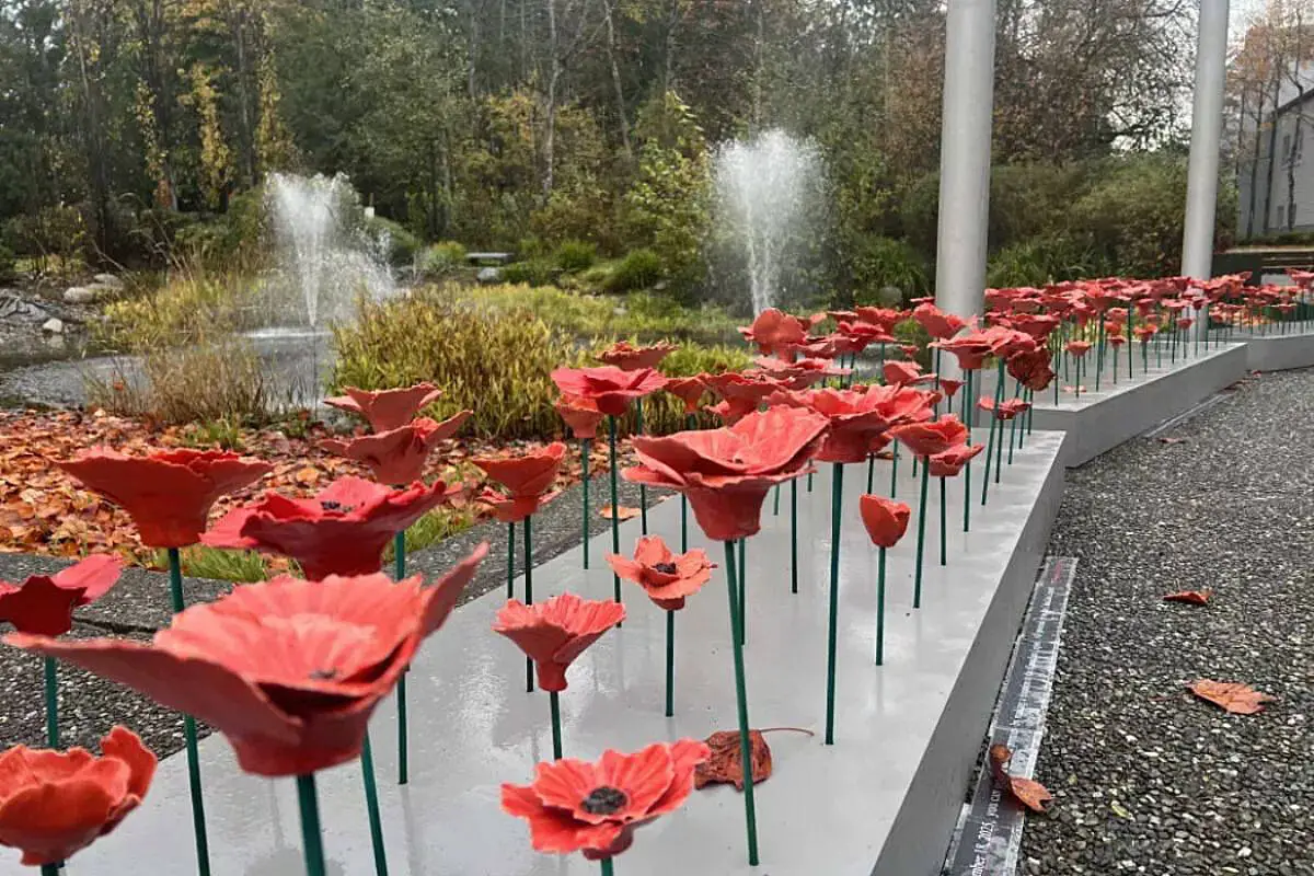 Titled Garden of Poppies