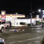 A pedestrian died in Chilliwack after being hit by a truck on Vedder Road