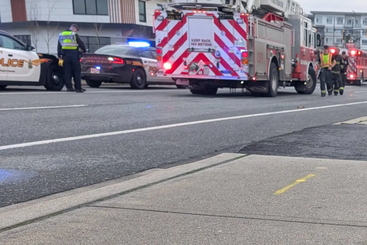 A van allegedly left the road and struck two pedestrians on a sidewalk on McCallum Road on Saturday